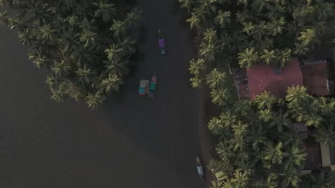 Overhead shot of a winding river through dense jungle DLOG footage Stock Footage 302264732