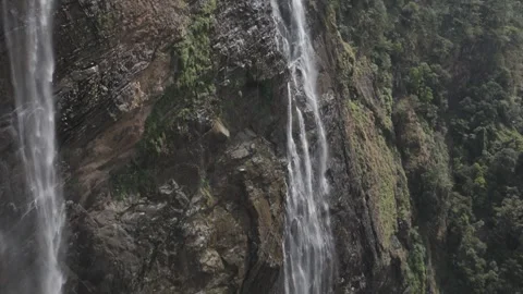 Overhead shot of a winding river through dense jungle Stock Footage 302265081