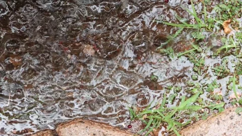 Overhead Slow Motion Shot of Rain Droplets Hitting a Wet Surface Creating Stock Footage 333198151