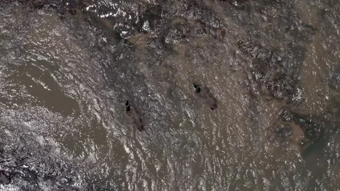 Overhead static shot of Canada geese on a river 스톡 동영상 246770986