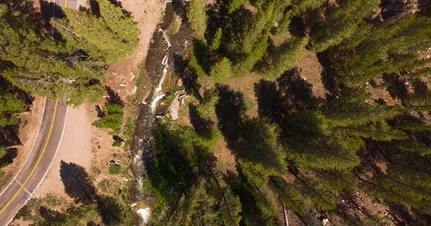 Overhead straight down aerial of a forest stream with evergreens. Stock Footage 71604401
