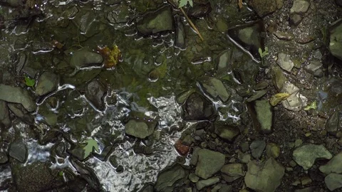 Overhead of Stream flowing over Rocks Video stock 84077408
