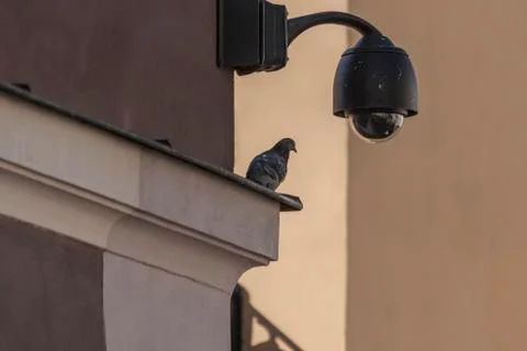 Overhead Surveillance CCTV security camera 360 degree Foto stock