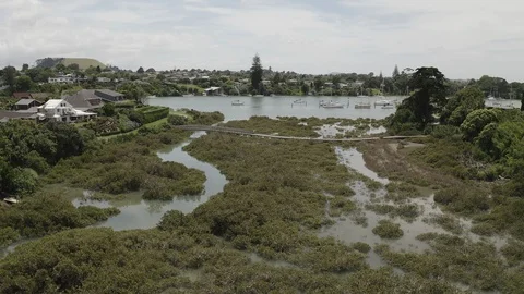 Overhead swamp track forward towards yacht 4K Stock Footage 110624935