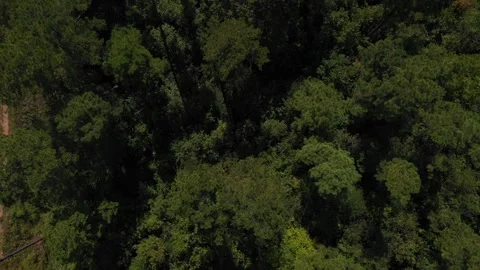 Overhead Sweep Midstream Oil and Gas Stock Footage 333692716