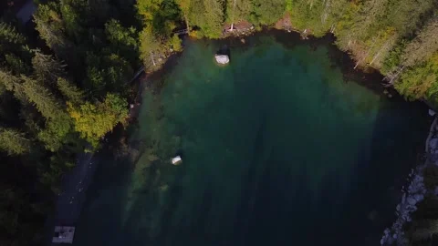 Overhead tilt up view from the "Lac Vert" (green lake), French Alps. Video stock 140782333