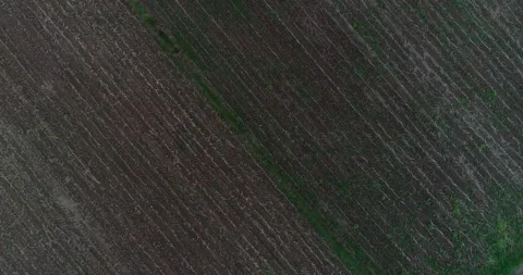 Overhead top view of drone ascending above farming field Stock Footage 147933593