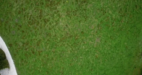 Overhead top view of pasture in Alpine valley Stock Footage 147933417