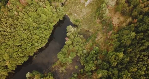 Overhead tracking shot of German forest with lake Stock Footage 94497581