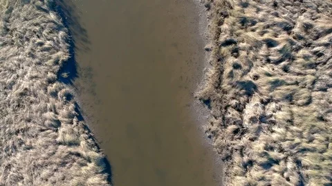 Overhead tracking shot of grassy marshland and small river Stock Footage 101550009