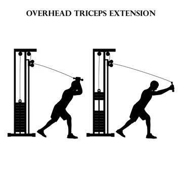 Triceps Exercise Stock Illustrations – 1,525 Triceps Exercise Stock  Illustrations, Vectors & Clipart - Dreamstime