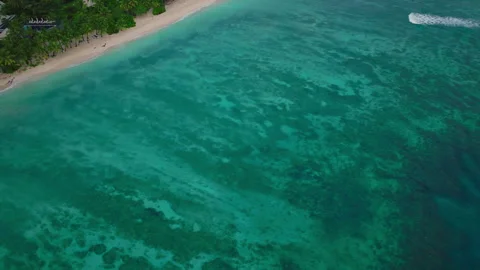Overhead of Turquoise Reef System With Coral Detail Stock Footage 313107671