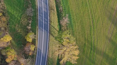 Overhead, a two-lane road snakes through a forest of fall colors, morning l.. Stock Footage 256645066