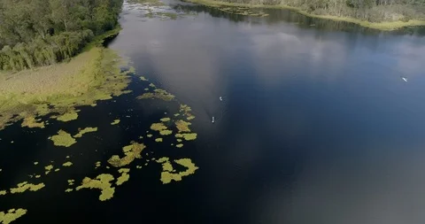 Overhead two people on stand up paddle boards in a large lake Stock Footage 110886617