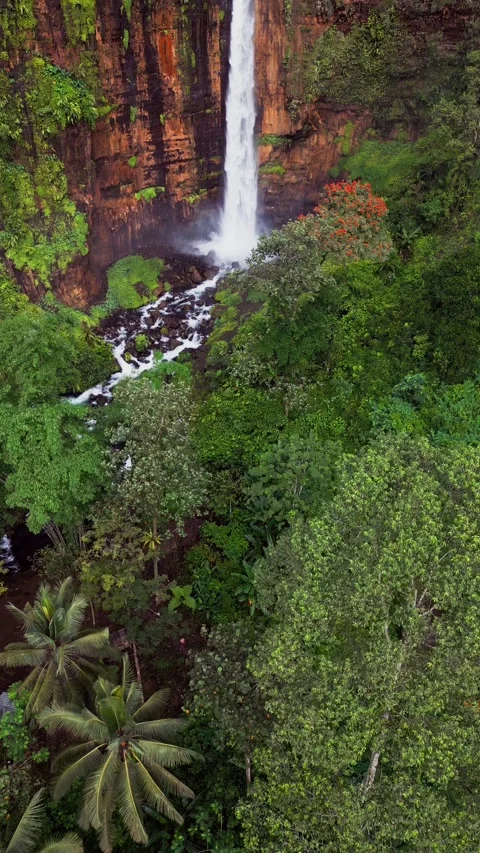 Overhead Vertical Video of Powerful Waterfall in East Java, Surrounded by Dense Stock-Footage 328962330
