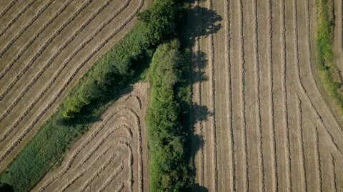 Overhead view of agricultural fields with fresh cut crops Stock Footage 249570397