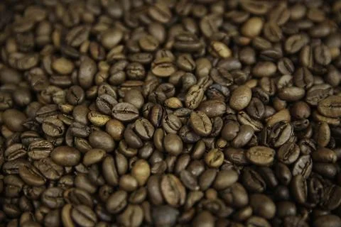 Overhead view of backdrop representing halves of dark brown coffee beans. Tex Stock Photos
