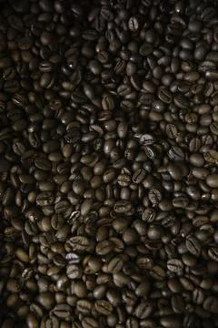 Overhead view of backdrop representing halves of dark brown coffee beans. Tex Stock Photos