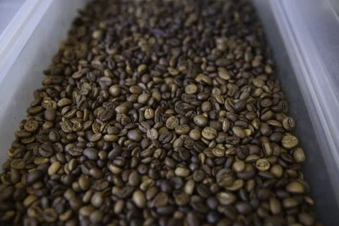 Overhead view of backdrop representing halves of dark brown coffee beans. Tex Stock Photos