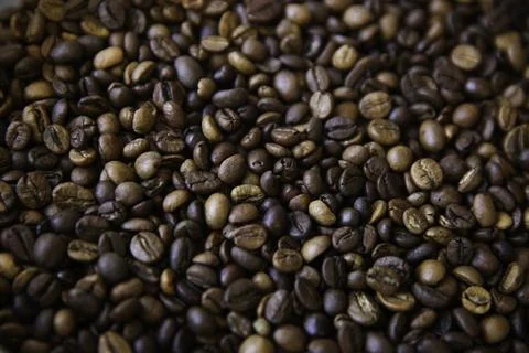 Overhead view of backdrop representing halves of dark brown coffee beans. Tex Stock Photos
