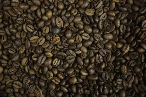 Overhead view of backdrop representing halves of dark brown coffee beans. Tex Stock Photos