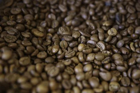 Overhead view of backdrop representing halves of dark brown coffee beans. Tex 写真素材