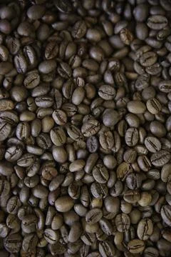 Overhead view of backdrop representing halves of dark brown coffee beans. Tex Stock Photos
