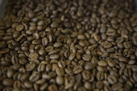 Overhead view of backdrop representing halves of dark brown coffee beans. Tex Stock Photos