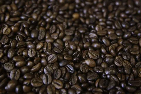 Overhead view of backdrop representing halves of dark brown coffee beans. Tex Stock Photos
