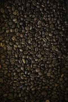 Overhead view of backdrop representing halves of dark brown coffee beans. Tex Stock Photos