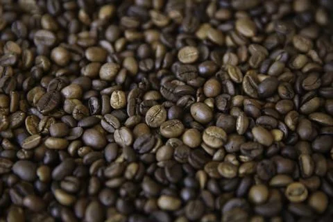 Overhead view of backdrop representing halves of dark brown coffee beans. Tex Stock Photos