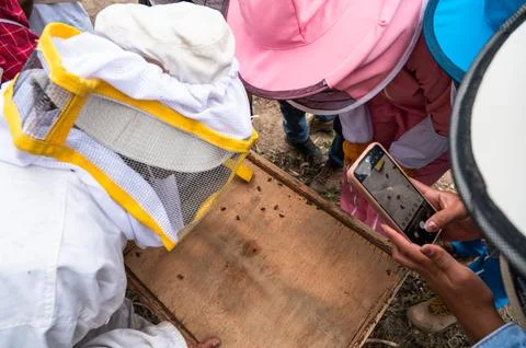 Overhead view of a beekeeping workshop with participants observing a beehive Stock Photos