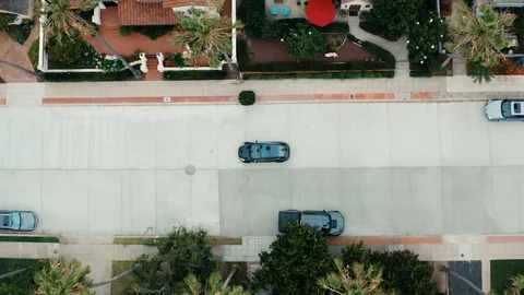 Overhead view of a black car driving down palm tree lined street Stock Footage 129829709