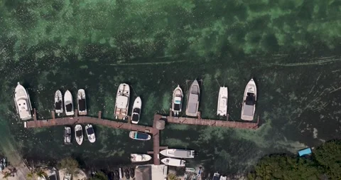 Overhead view of boats in a marina, with a small dock. Stock Footage 310866580