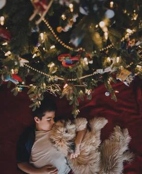 Overhead view of boy with dog lying by Christmas tree at home Foto stock