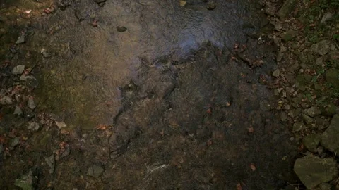 Overhead view of calm, rocky riverbed at Natural Tunnel State Park in Virginia Stockbeeldmateriaal 295168969