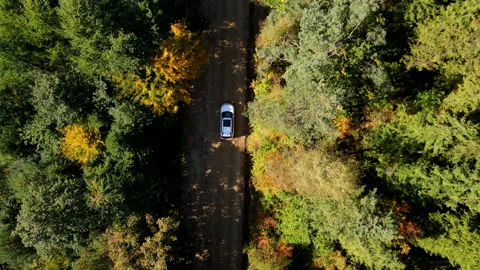 Overhead view of the car on trail road in autumn forest Stock Footage 206337982