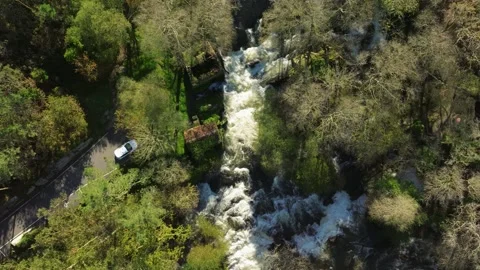 Overhead View Of Cascade Flowing Through The River Amid The Trees Stock Footage 260902084