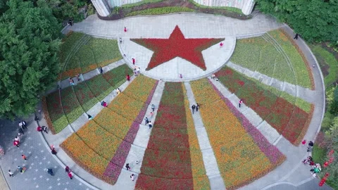 Overhead View of Citizens Enjoying Flowers and Leisure in a Public Park Stock Footage 341867161