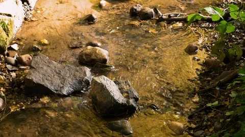 Overhead view of clear water flowing around large rock England September 2017 Stock Footage 82323454