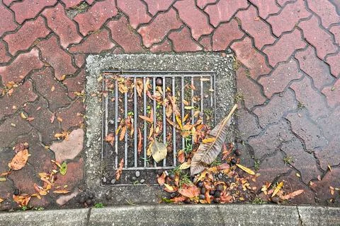 Overhead view on clogged drain cover on street with leaf and earth risk flooding Stock Photos