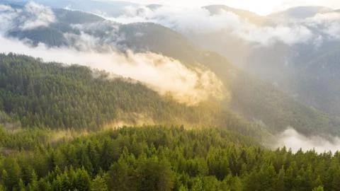 Overhead view of clouds over forest in mountains. Stock Photos