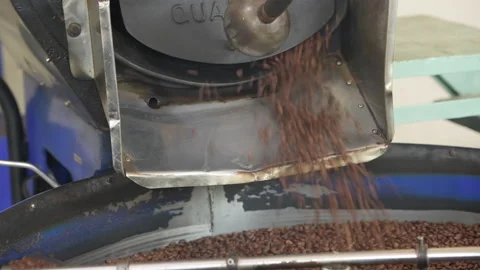 Overhead view of coffee beans in roaster Stock Footage 161723971