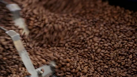 Overhead view of coffee beans in roaster Stock Footage 161727498