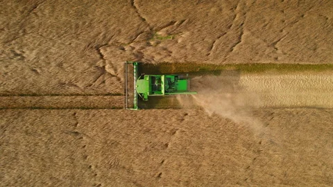 Overhead view of combine machinery working harvesting across golden wheat field Stock Footage 288461194