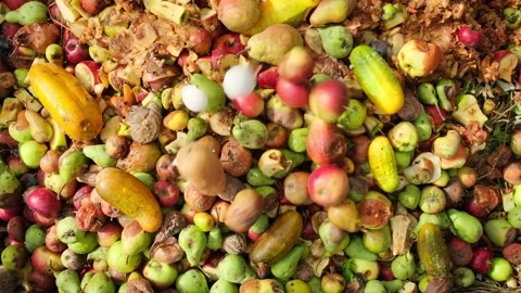 Overhead View of Compost Pile Stock Footage 333113390