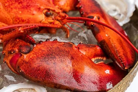 Overhead view of cooked crab on ice in hammered gold bowl. Flat lay composi.. 库存照片