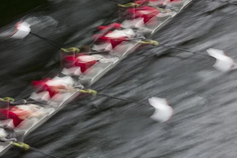 Overhead view of a crew rowing in an octuple racing shell boat, rowers, motio Stock Photos