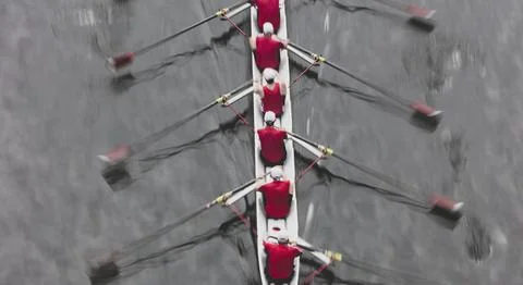 Overhead view of a crew rowing in an octuple racing shell boat, rowers Stock Photos