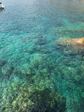 Overhead view of crystal clear emerald sea floor at Cap d'Ail Stock Photos